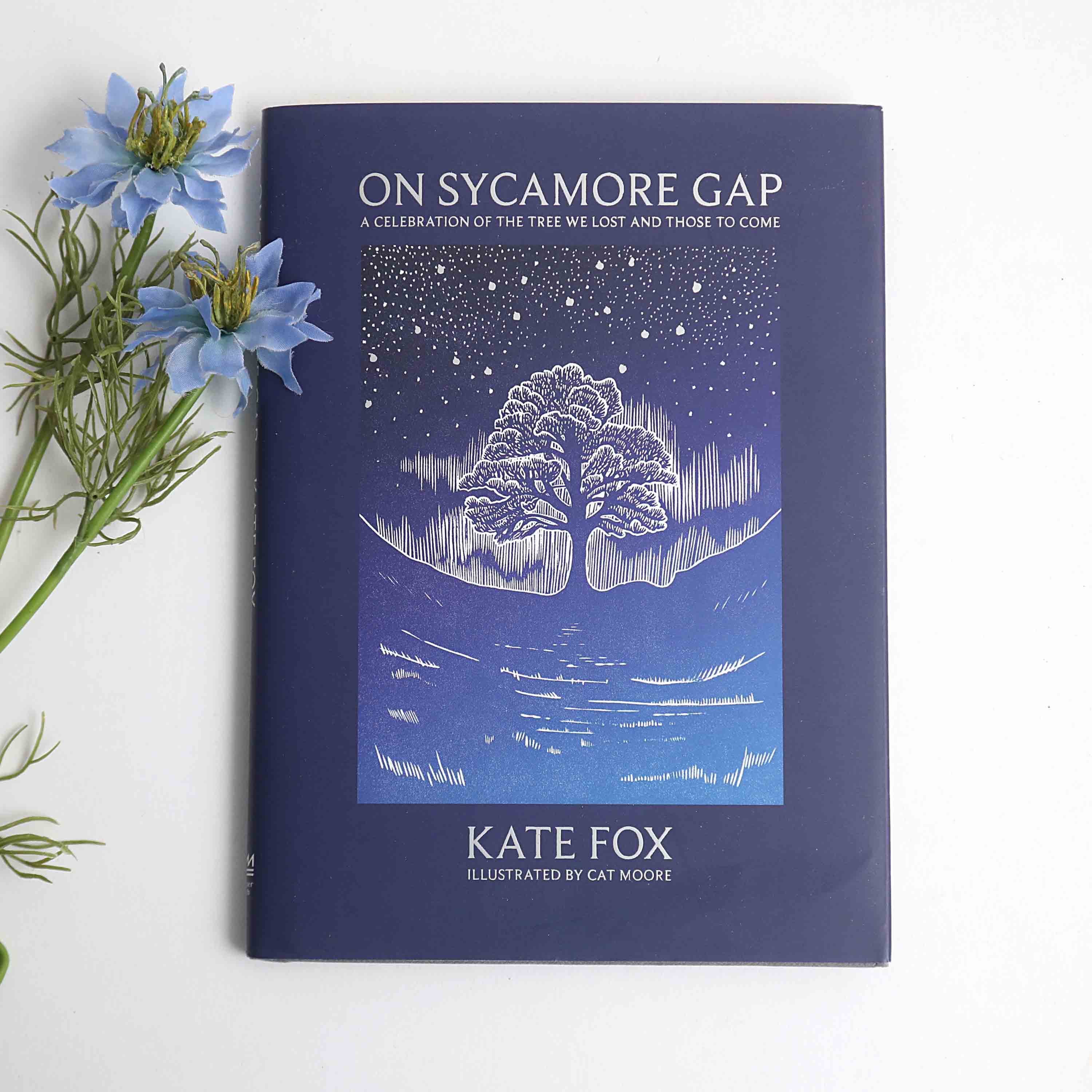 On Sycamore Gap Book by Kate Fox